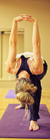Classes at Love Life Hot Yoga